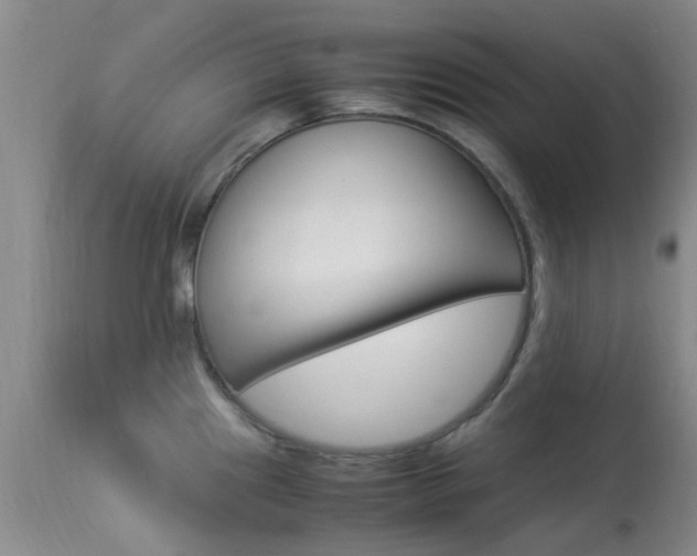 X0000113951241200909250955