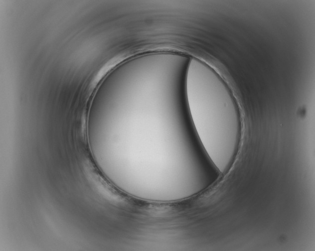 X0000113951242200909250955