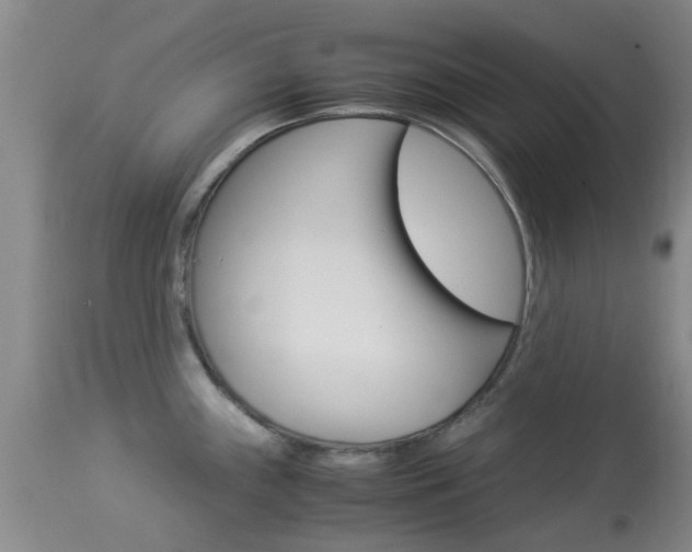 X0000113951243200909250955