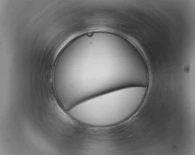 X0000113951244200909250955