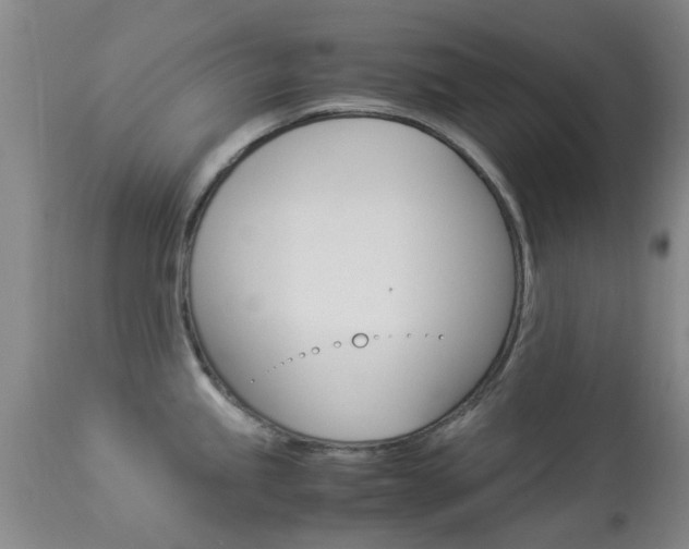 X0000113951245200909250955