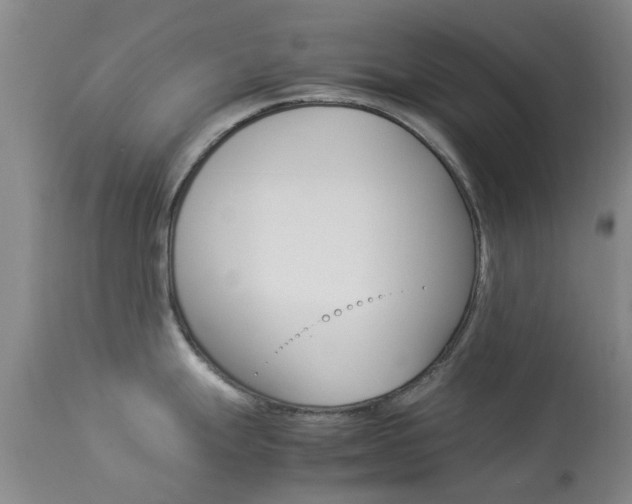 X0000113951247200909250955