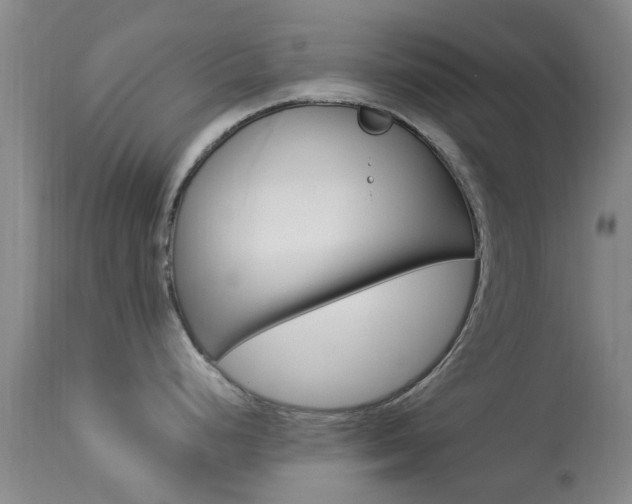 X0000113951248200909250955