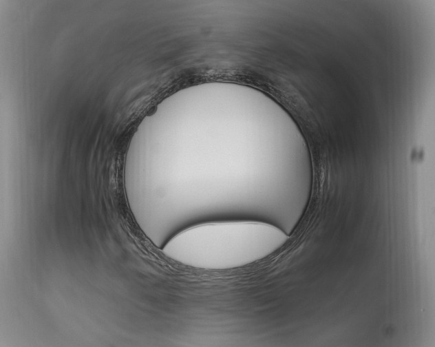 X0000113951250200909250955