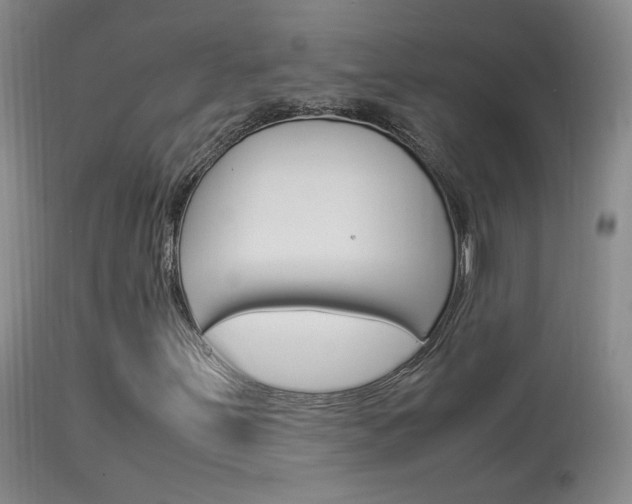 X0000113951251200909250955