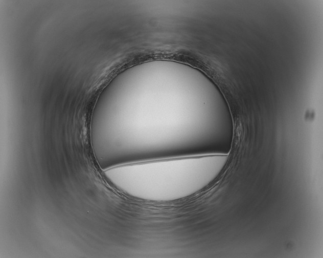 X0000113951252200909250955