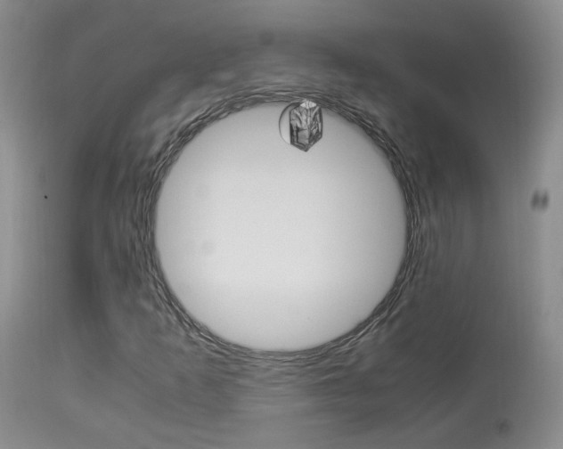X0000113951253200909250955