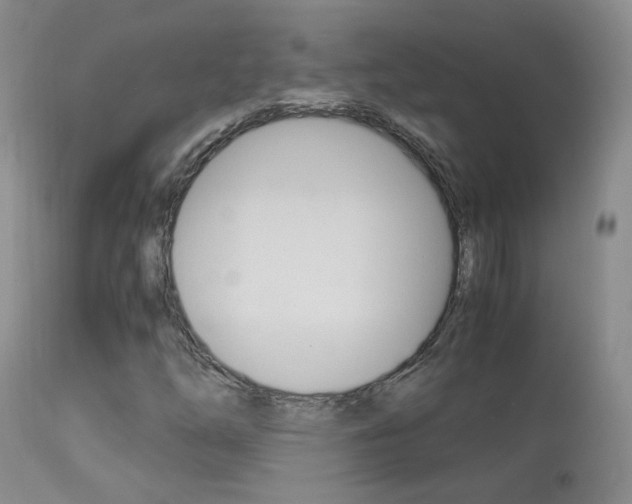 X0000113951254200909250955