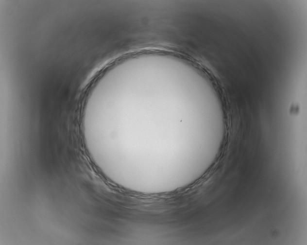 X0000113951256200909250955
