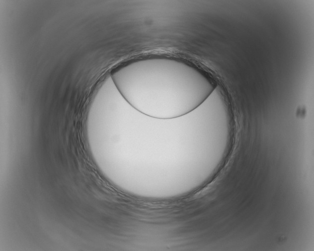 X0000113951257200909250955