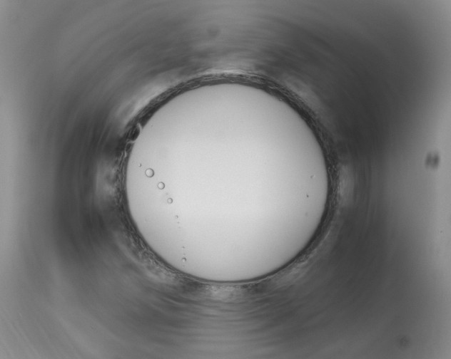 X0000113951258200909250955