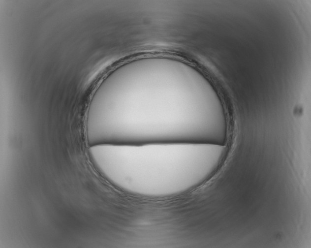 X0000113951259200909250955