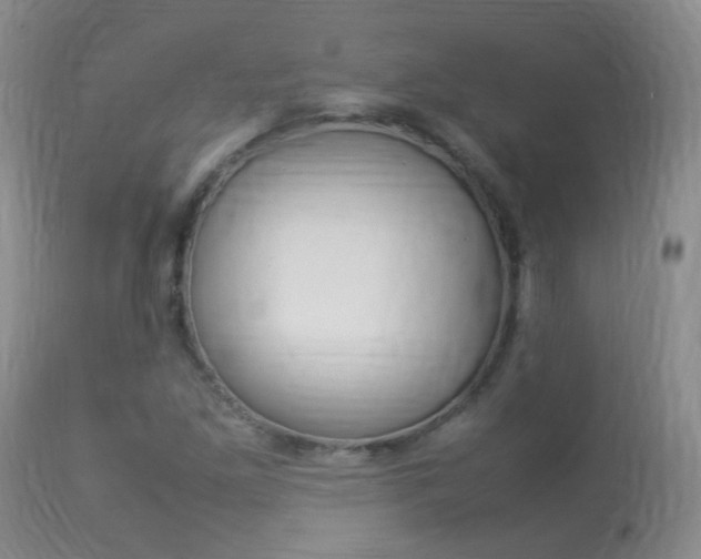 X0000113951261200909250955