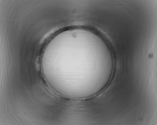 X0000113951262200909250955