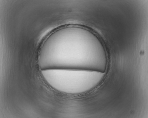 X0000113951263200909250955