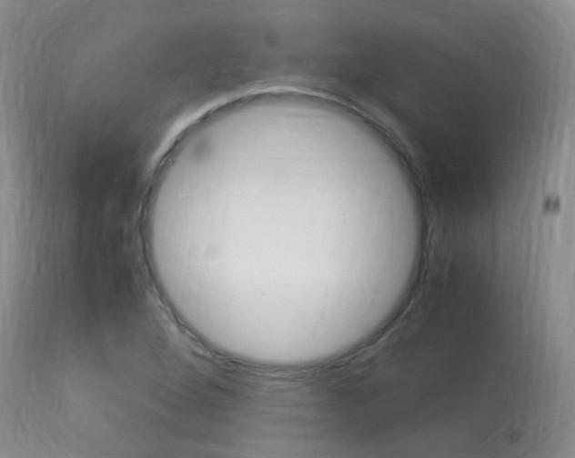 X0000113951264200909250955