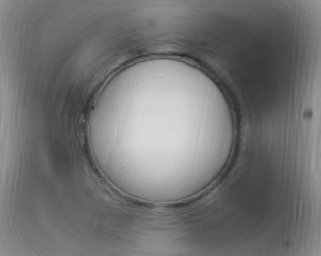 X0000113951265200909250955