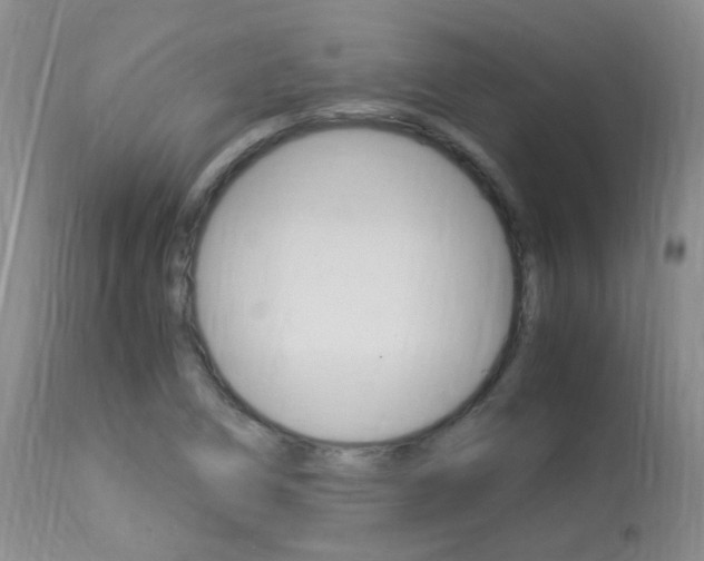 X0000113951266200909250954