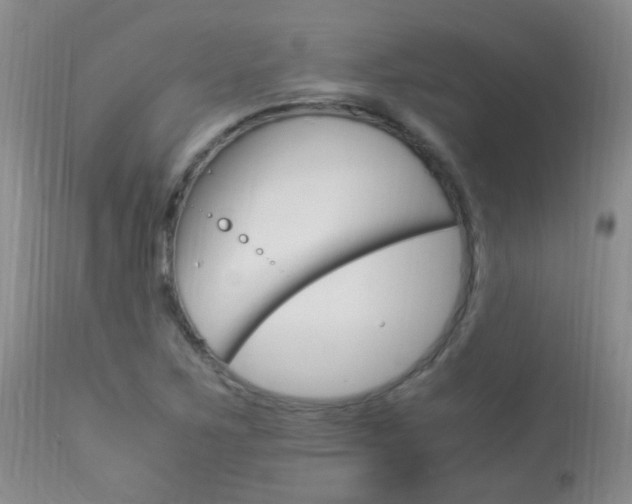 X0000113951267200909250954
