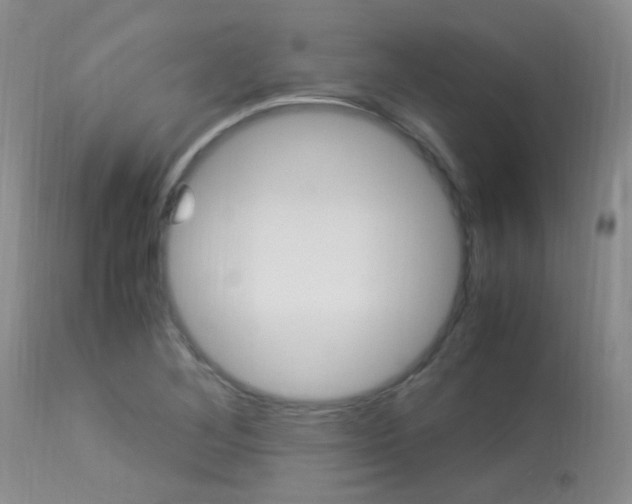 X0000113951268200909250954