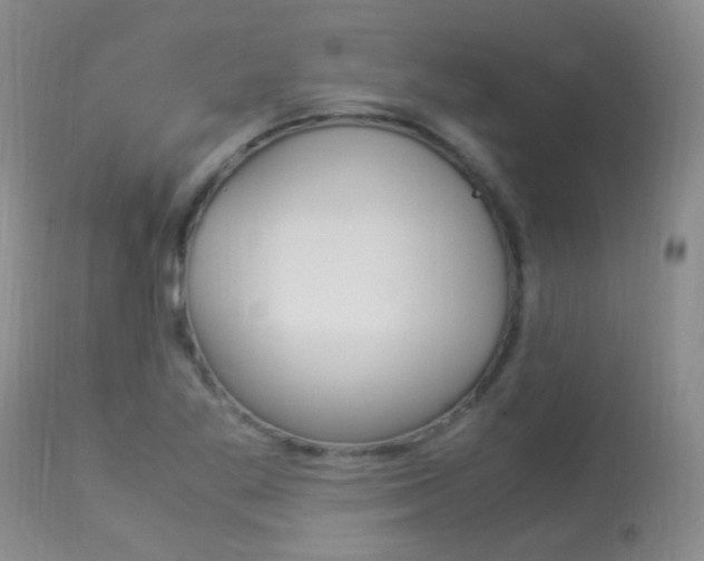 X0000113951269200909250954