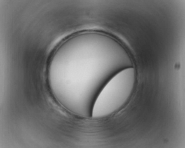 X0000113951270200909250954