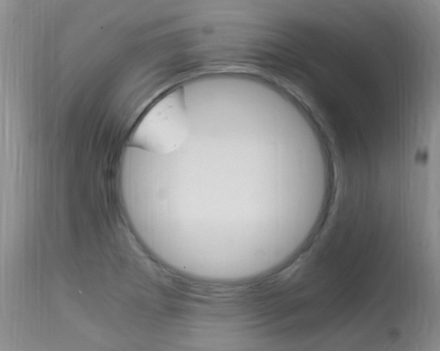 X0000113951273200909250954