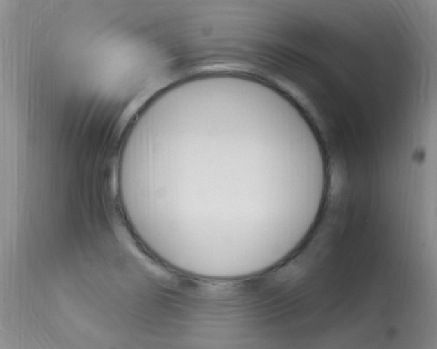 X0000113951274200909250954