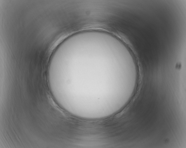 X0000113951277200909250954
