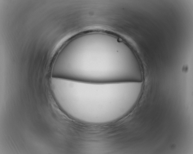 X0000113951279200909250954