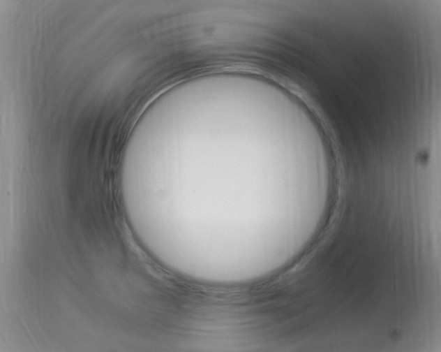 X0000113951281200909250954