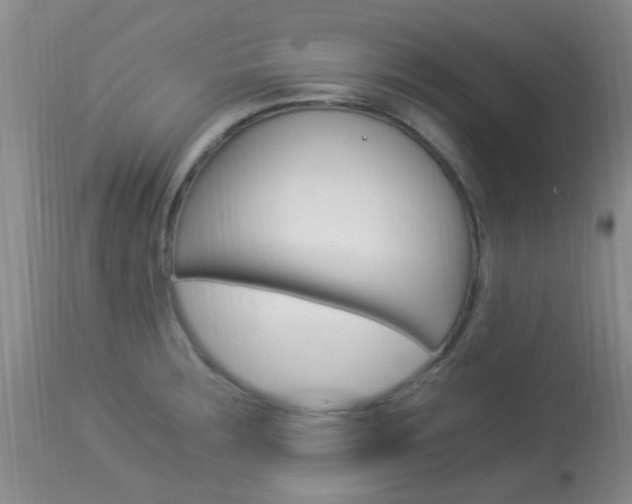 X0000113951283200909250954