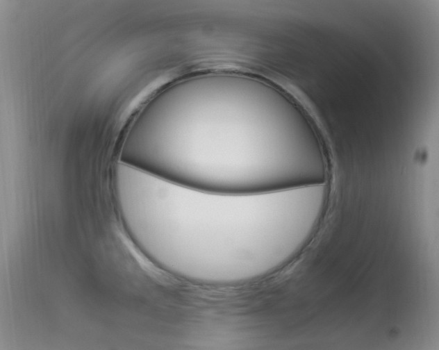 X0000113951285200909250954
