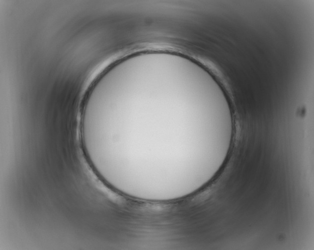 X0000113951286200909250954