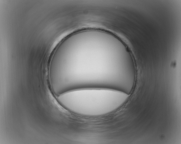 X0000113951287200909250954