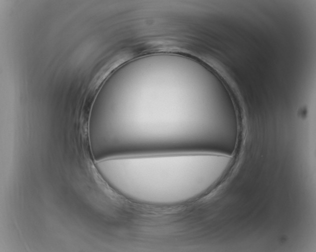 X0000113951289200909250954