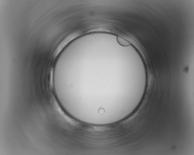 X0000113951290200909250954