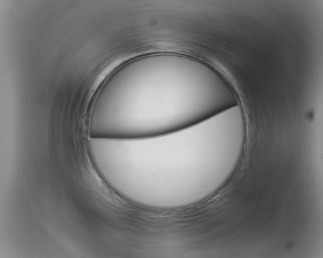 X0000113951291200909250954