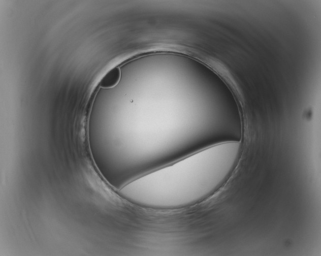 X0000113951292200909250954