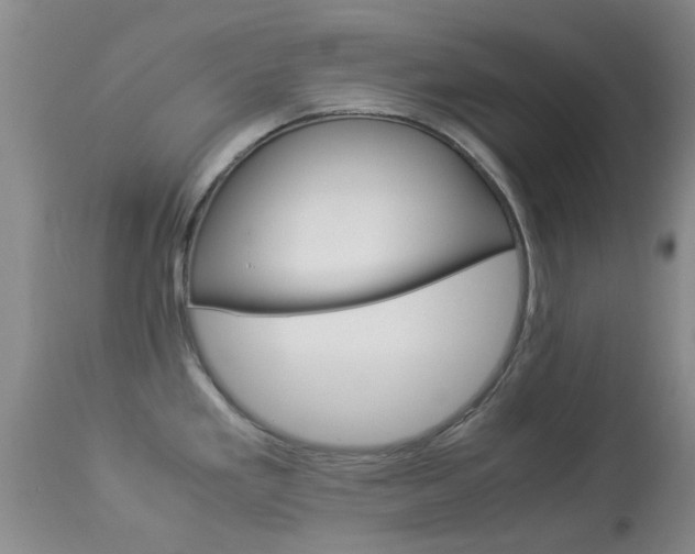 X0000113951293200909250954