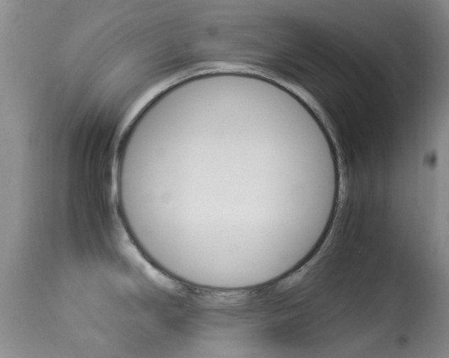 X0000113951294200909250954