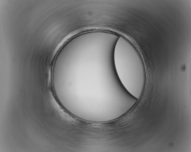 X0000113951295200909250954