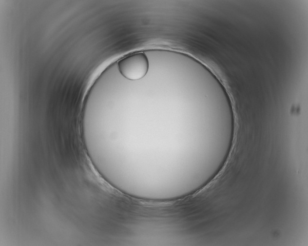 X0000113951296200909250954