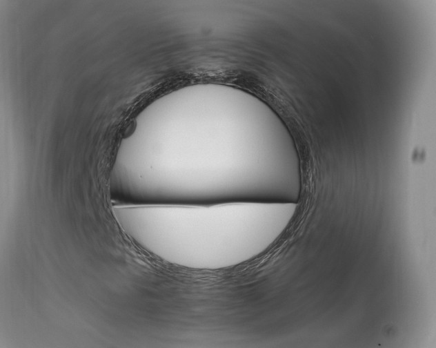 X0000113951297200909250953