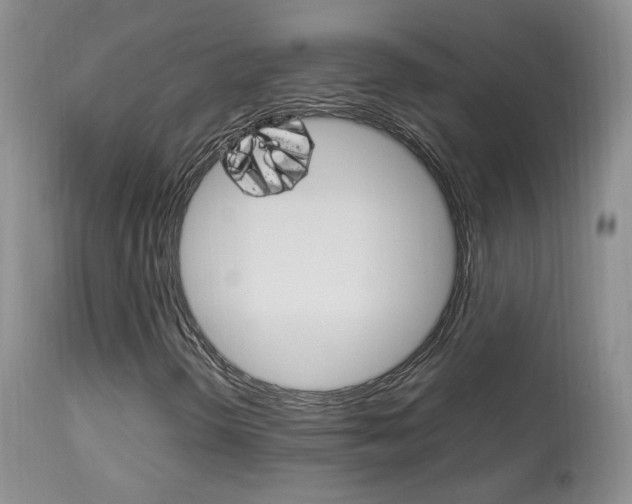 X0000113951298200909250953