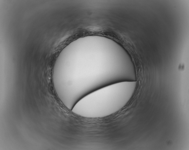 X0000113951301200909250953