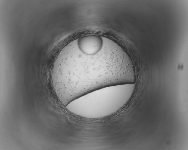 X0000113951302200909250953
