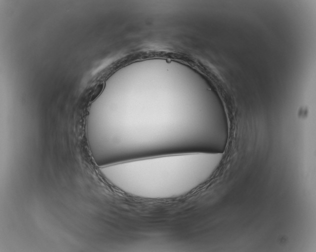 X0000113951303200909250953