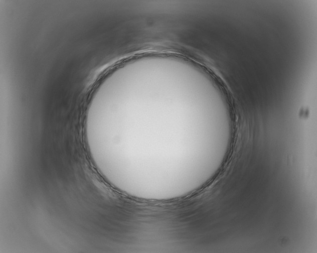 X0000113951304200909250953