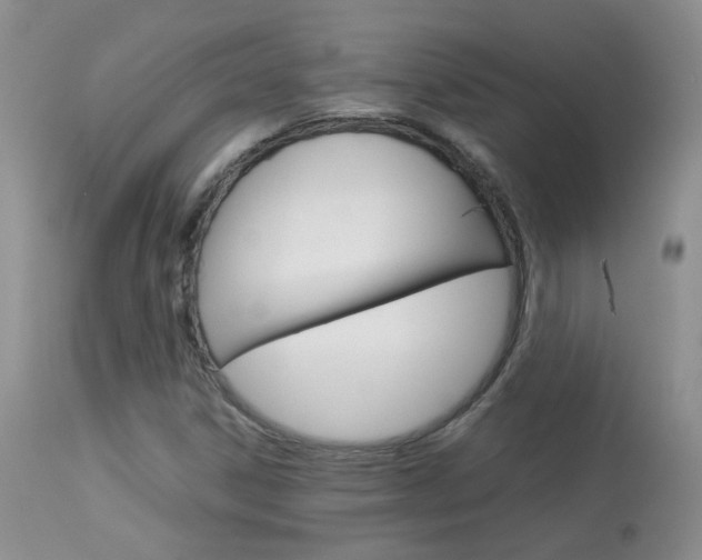 X0000113951306200909250953